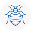 Bed Bug Extermination In South London
