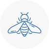 Bee Nest Removal South London