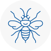 South London Hornet Nest Removals