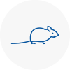 Mice Exterminators In South London