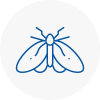 Moth Control Specialists In South London