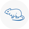 Rat Control South London