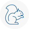 South London Rodent Removals